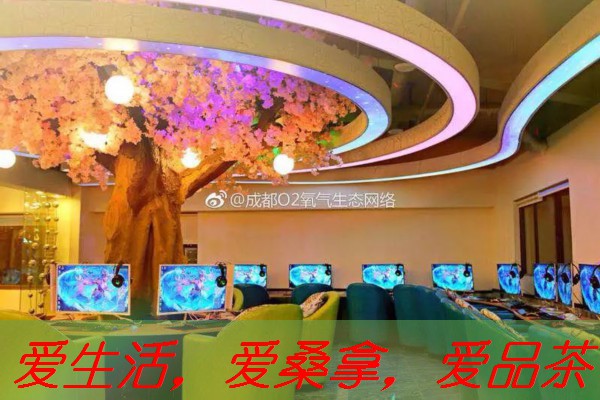 南宁凤楼：传统建筑在现代社会中的意义-南宁风楼群