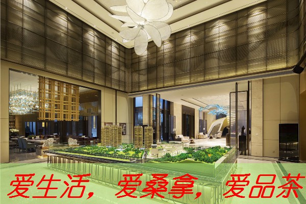 南宁山庄：茶艺与自然的完美结合-南宁 山庄